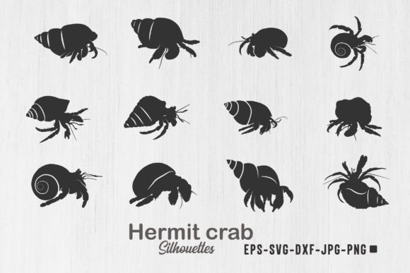 Download Hermit Crab Silhouettes, Hermit Crab Svg - Silhouette Collection