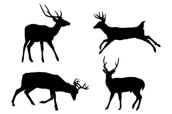 Download Deer Vector Graphic Design - Deer vector Collection