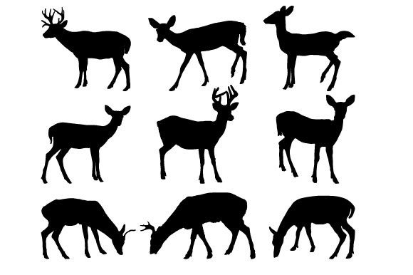 Download Key Deer Vector Graphic Design - Deer vector Collection